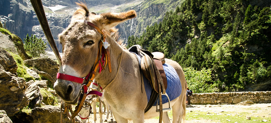 Les activités à faire autour du cirque de Gavarnie